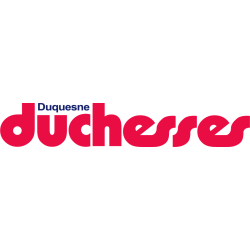 Duquesne Dukes Wordmark Logo 1975 - 1990